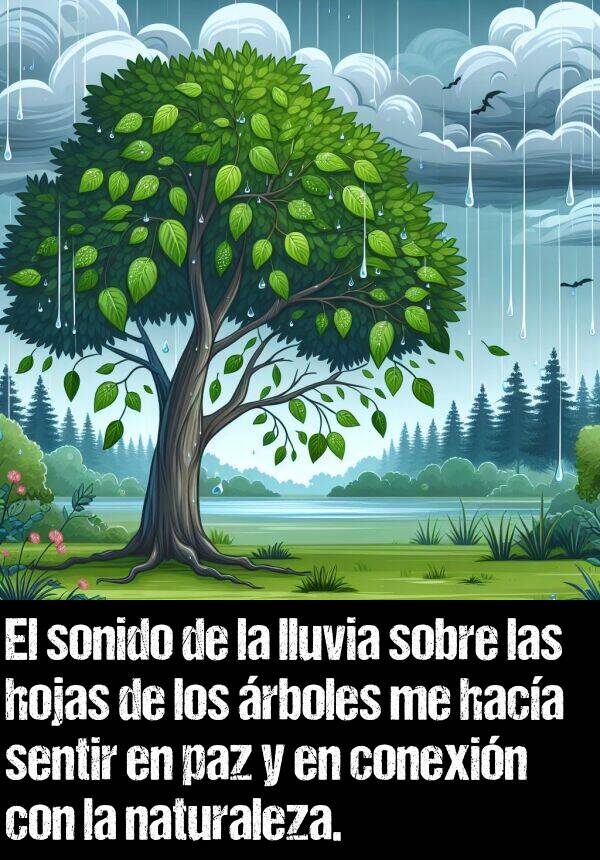 conexin: El sonido de la lluvia sobre las hojas de los rboles me haca sentir en paz y en conexin con la naturaleza.
