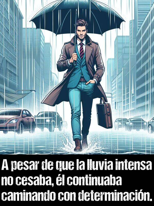 determinacin: A pesar de que la lluvia intensa no cesaba, l continuaba caminando con determinacin.