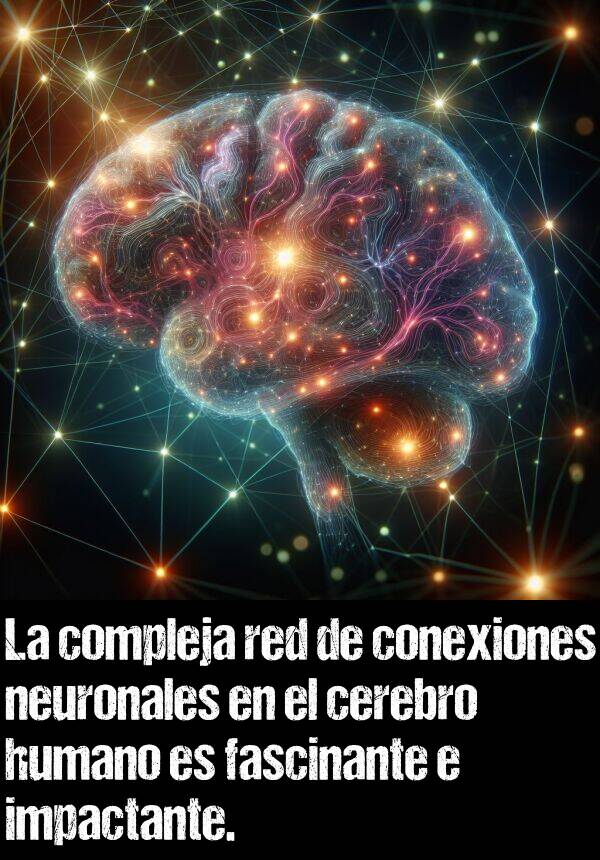 conexiones: La compleja red de conexiones neuronales en el cerebro humano es fascinante e impactante.