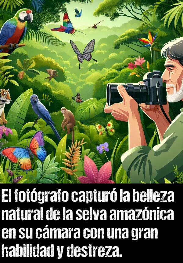 fotgrafo: El fotgrafo captur la belleza natural de la selva amaznica en su cmara con una gran habilidad y destreza.
