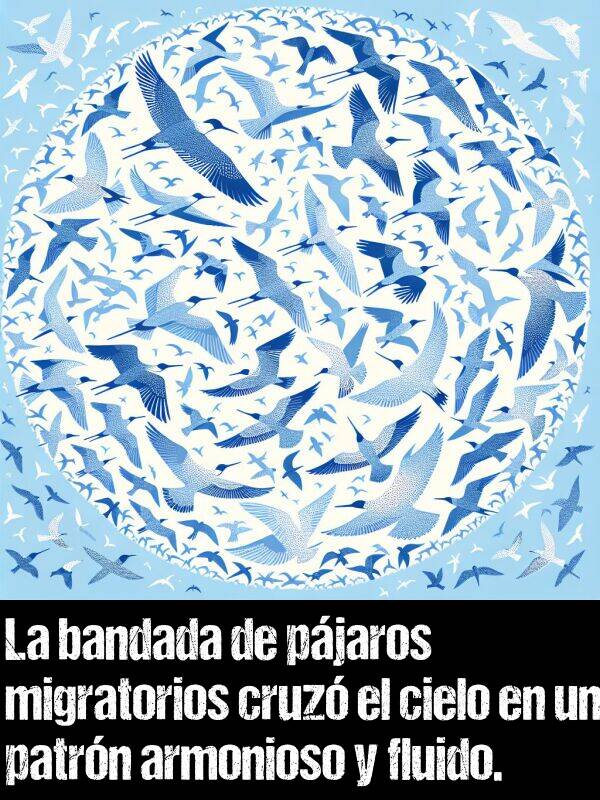 bandada: La bandada de pjaros migratorios cruz el cielo en un patrn armonioso y fluido.