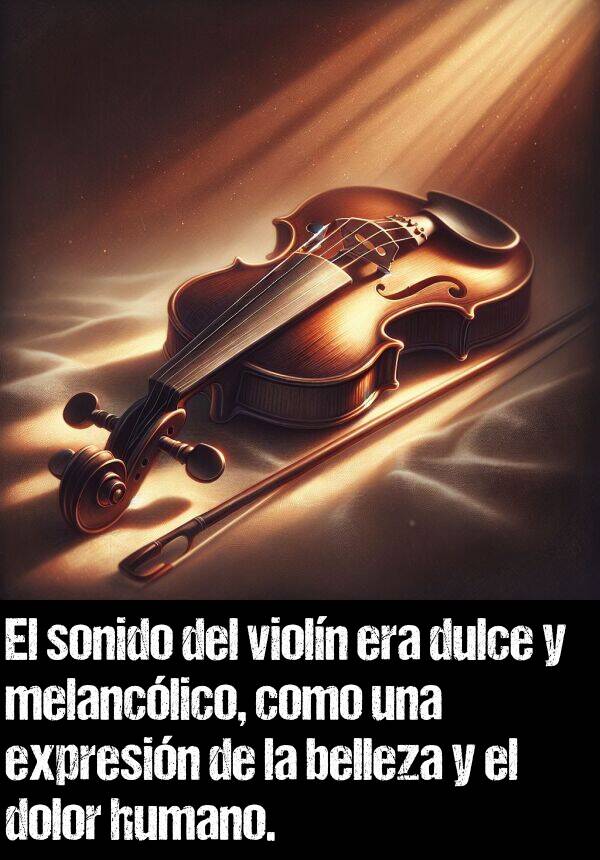 melanclico: El sonido del violn era dulce y melanclico, como una expresin de la belleza y el dolor humano.