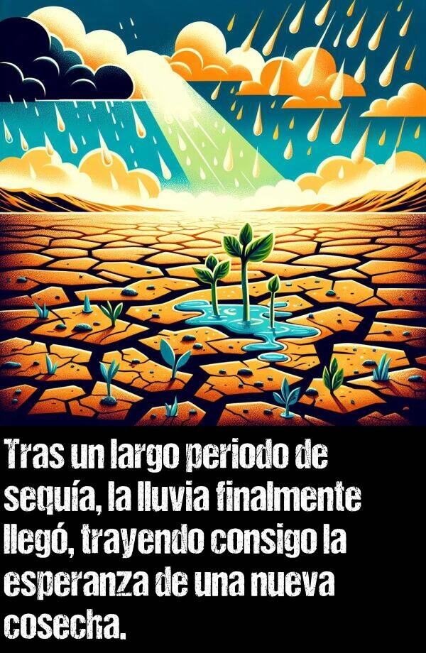 sequa: Tras un largo periodo de sequa, la lluvia finalmente lleg, trayendo consigo la esperanza de una nueva cosecha.