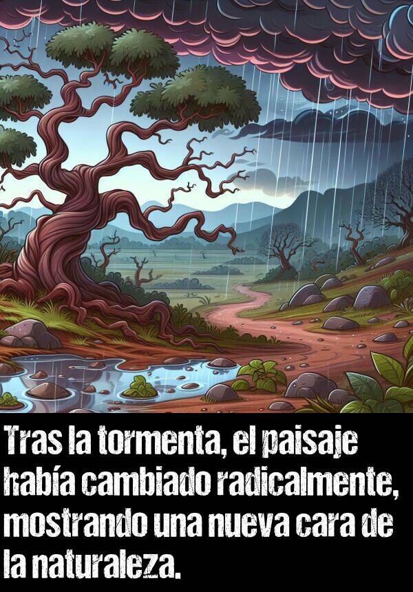 cara: Tras la tormenta, el paisaje haba cambiado radicalmente, mostrando una nueva cara de la naturaleza.