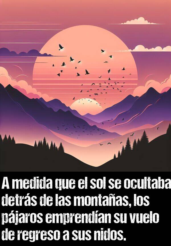 regreso: A medida que el sol se ocultaba detrs de las montaas, los pjaros emprendan su vuelo de regreso a sus nidos.
