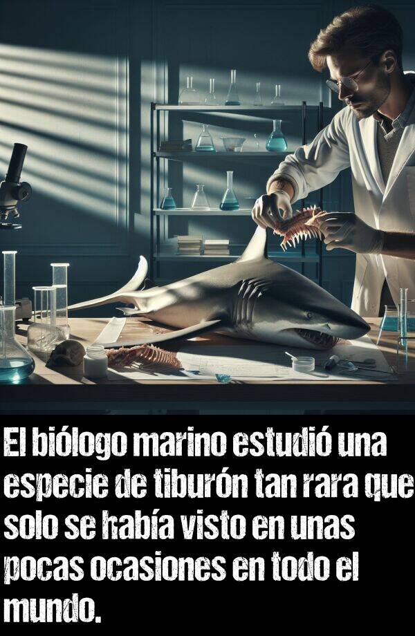 bilogo: El bilogo marino estudi una especie de tiburn tan rara que solo se haba visto en unas pocas ocasiones en todo el mundo.