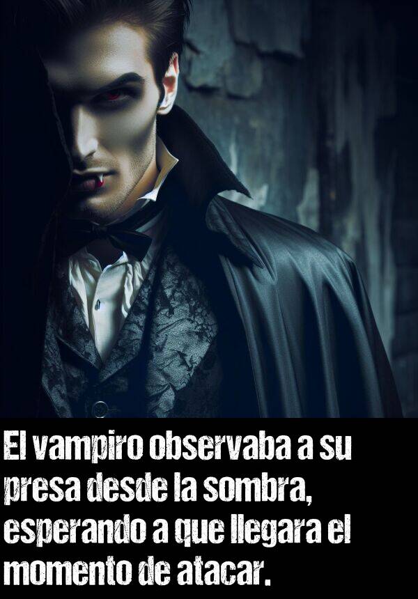 vampiro: El vampiro observaba a su presa desde la sombra, esperando a que llegara el momento de atacar.