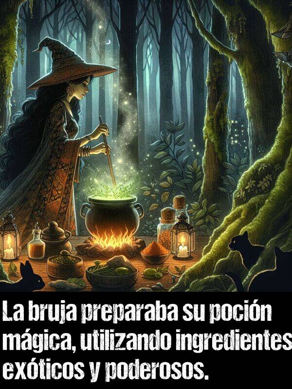 preparaba: La bruja preparaba su pocin mgica, utilizando ingredientes exticos y poderosos.