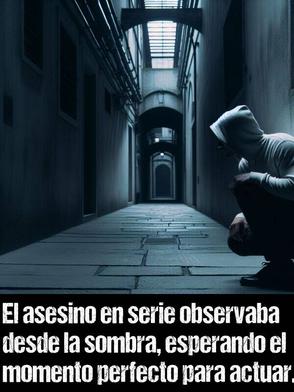 asesino: El asesino en serie observaba desde la sombra, esperando el momento perfecto para actuar.