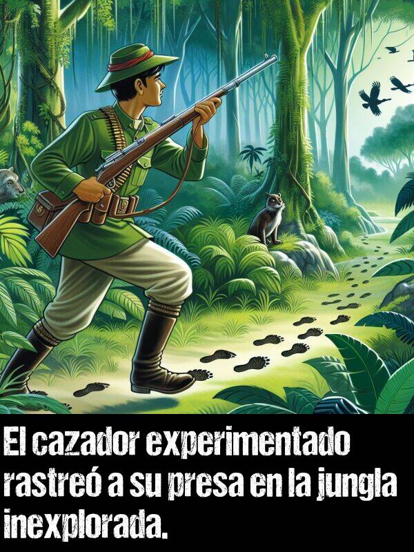 inexplorada: El cazador experimentado rastre a su presa en la jungla inexplorada.