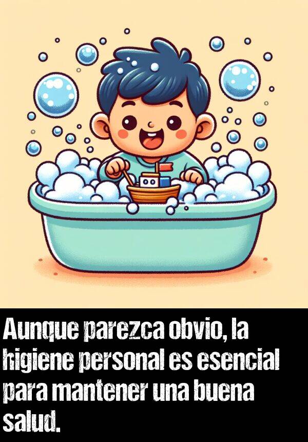 obvio: Aunque parezca obvio, la higiene personal es esencial para mantener una buena salud.