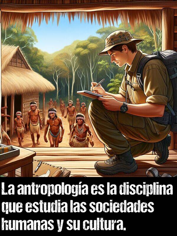 antropologa: La antropologa es la disciplina que estudia las sociedades humanas y su cultura.