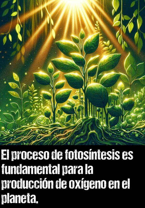 proceso: El proceso de fotosntesis es fundamental para la produccin de oxgeno en el planeta.