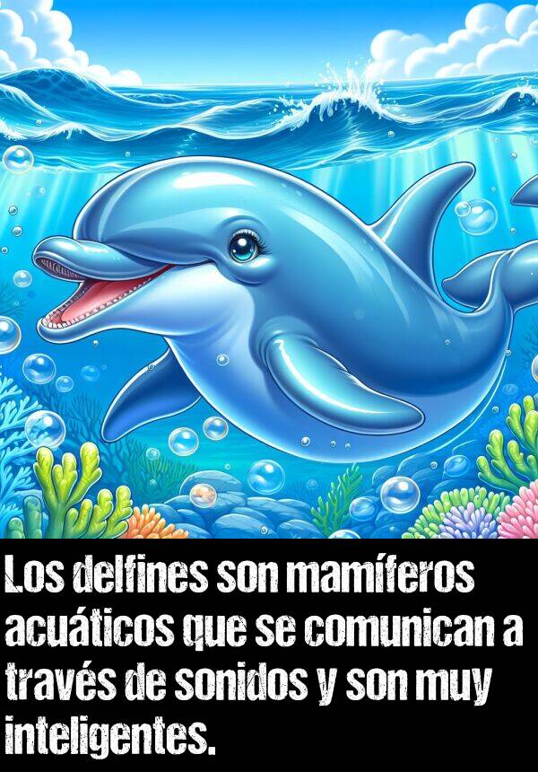 inteligentes: Los delfines son mamferos acuticos que se comunican a travs de sonidos y son muy inteligentes.