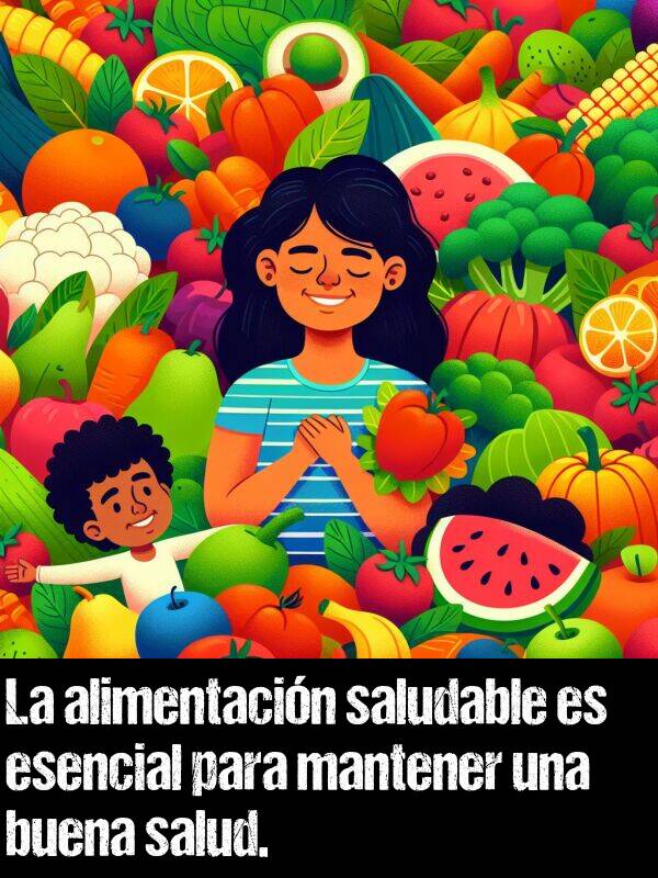 salud: La alimentacin saludable es esencial para mantener una buena salud.