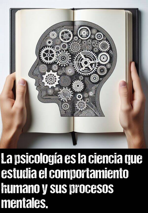psicologa: La psicologa es la ciencia que estudia el comportamiento humano y sus procesos mentales.