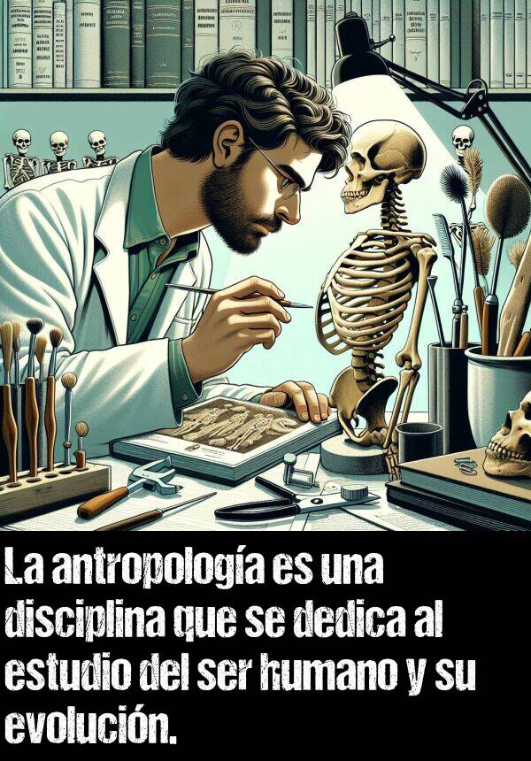 antropologa: La antropologa es una disciplina que se dedica al estudio del ser humano y su evolucin.