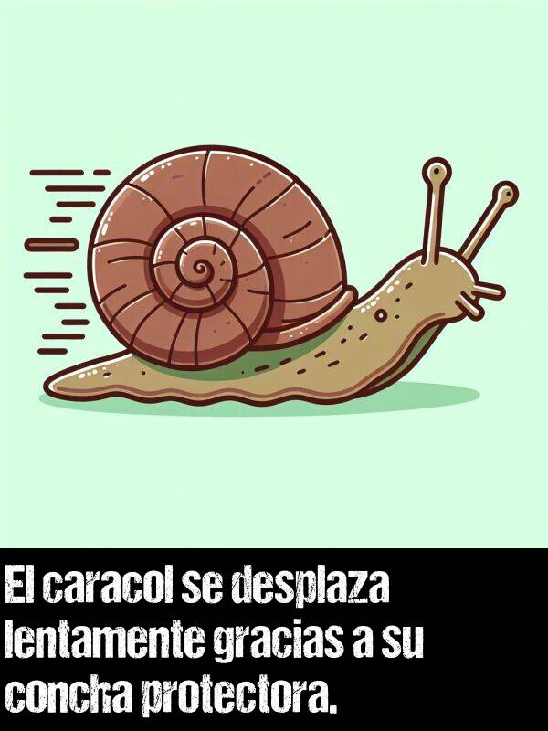 caracol: El caracol se desplaza lentamente gracias a su concha protectora.
