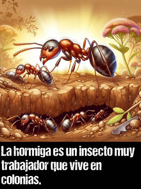 trabajador: La hormiga es un insecto muy trabajador que vive en colonias.