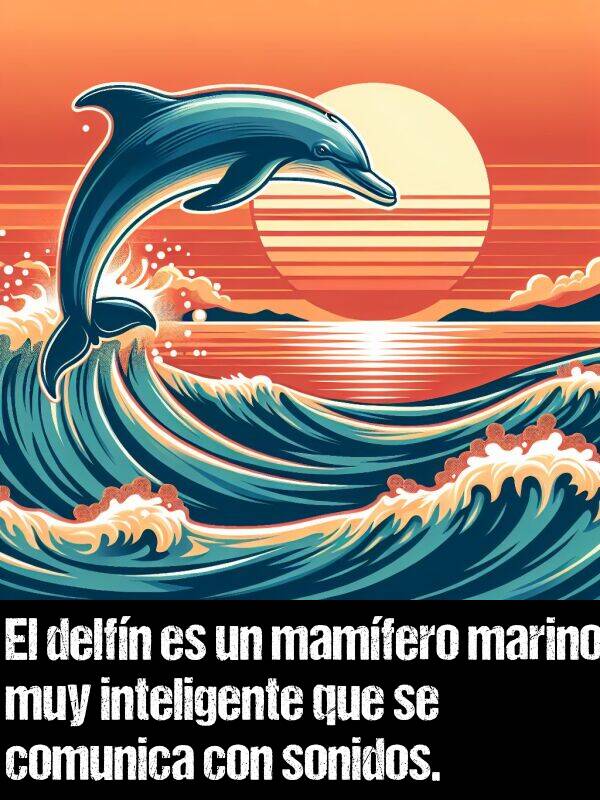 comunica: El delfn es un mamfero marino muy inteligente que se comunica con sonidos.