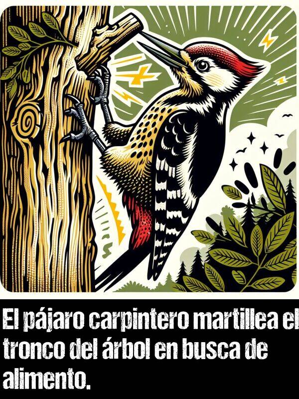 tronco: El pjaro carpintero martillea el tronco del rbol en busca de alimento.