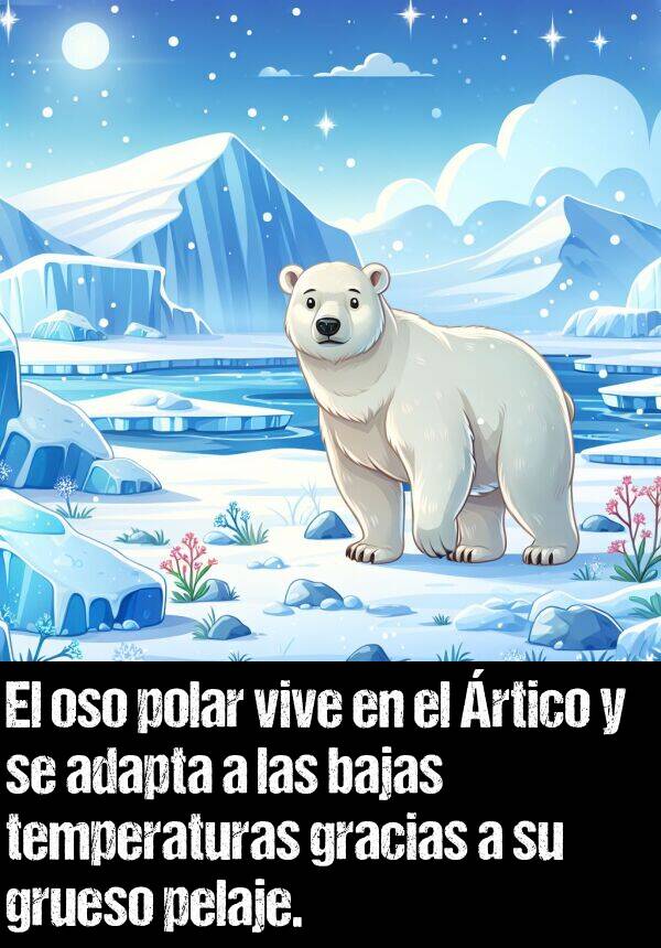 bajas: El oso polar vive en el rtico y se adapta a las bajas temperaturas gracias a su grueso pelaje.