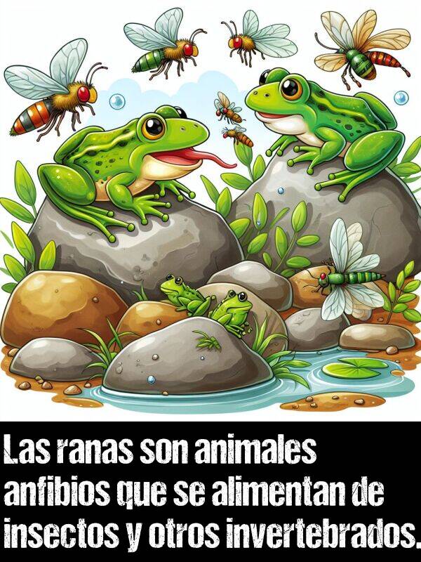 anfibios: Las ranas son animales anfibios que se alimentan de insectos y otros invertebrados.
