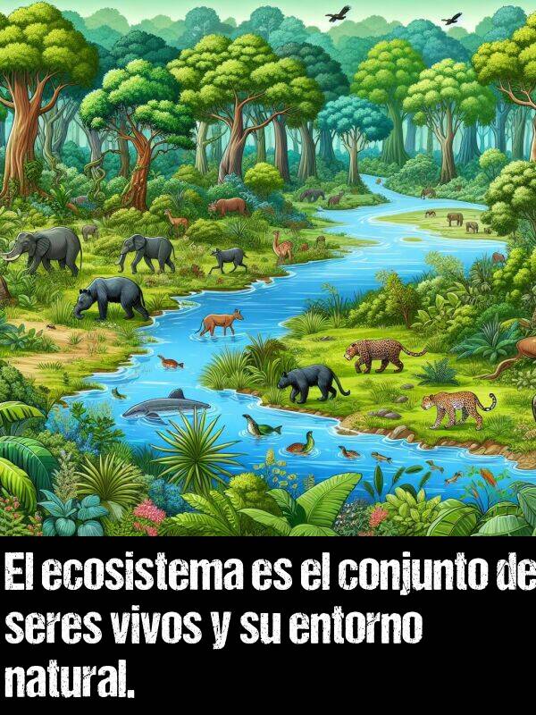 conjunto: El ecosistema es el conjunto de seres vivos y su entorno natural.
