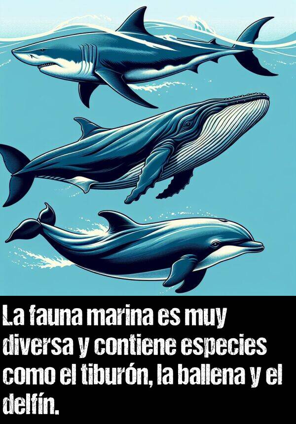 delfn: La fauna marina es muy diversa y contiene especies como el tiburn, la ballena y el delfn.