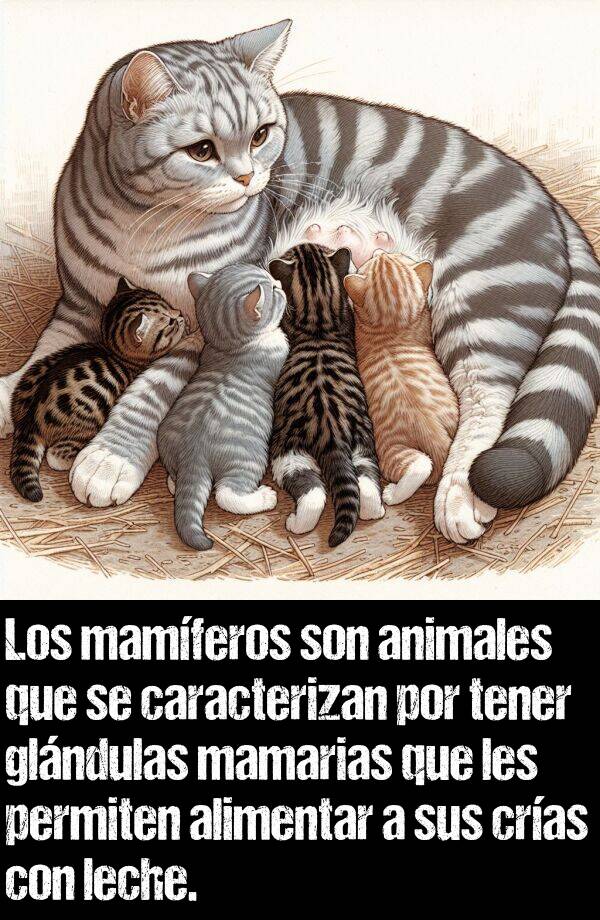 cras: Los mamferos son animales que se caracterizan por tener glndulas mamarias que les permiten alimentar a sus cras con leche.