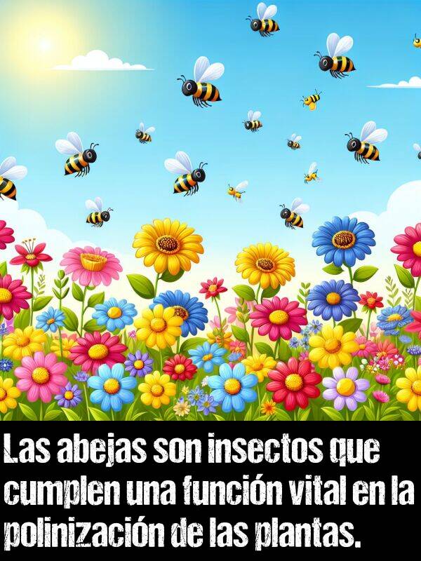 funcin: Las abejas son insectos que cumplen una funcin vital en la polinizacin de las plantas.