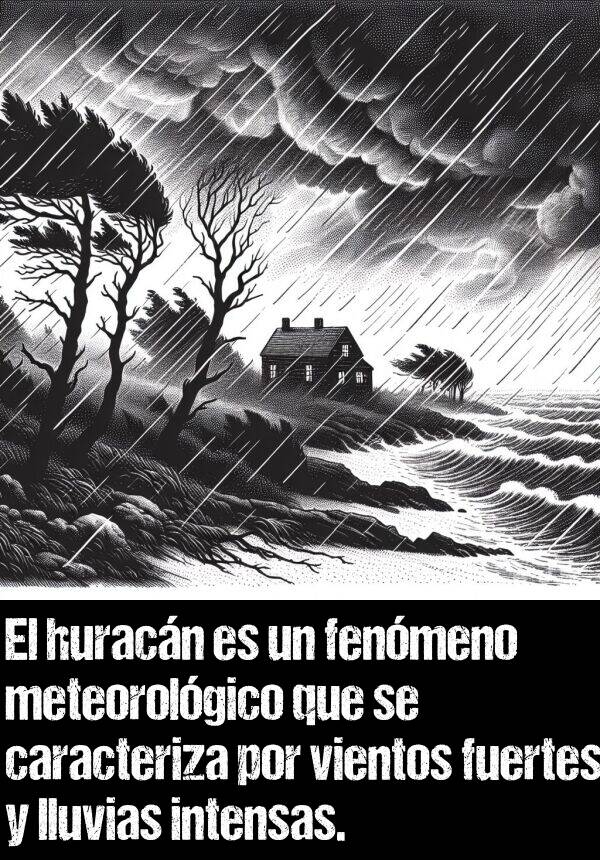 fenmeno: El huracn es un fenmeno meteorolgico que se caracteriza por vientos fuertes y lluvias intensas.