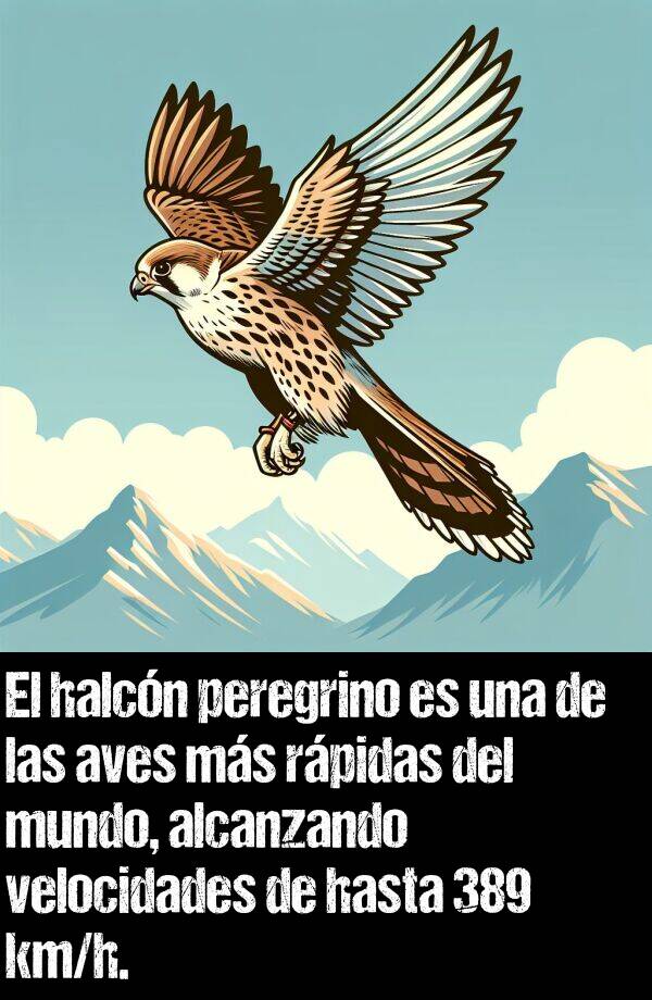 peregrino: El halcn peregrino es una de las aves ms rpidas del mundo, alcanzando velocidades de hasta 389 km/h.