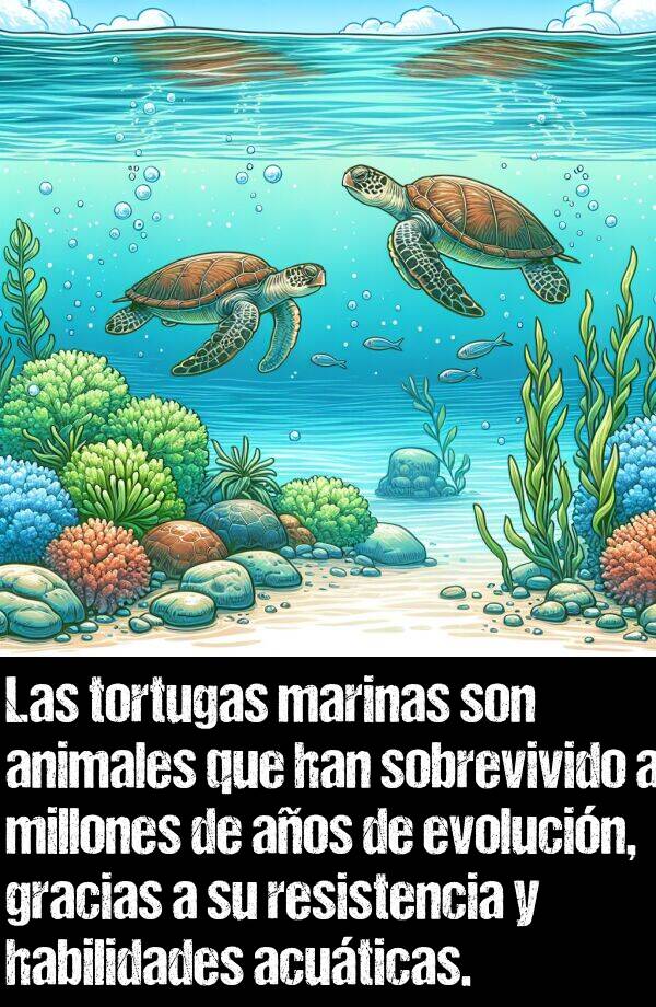 evolucin: Las tortugas marinas son animales que han sobrevivido a millones de aos de evolucin, gracias a su resistencia y habilidades acuticas.