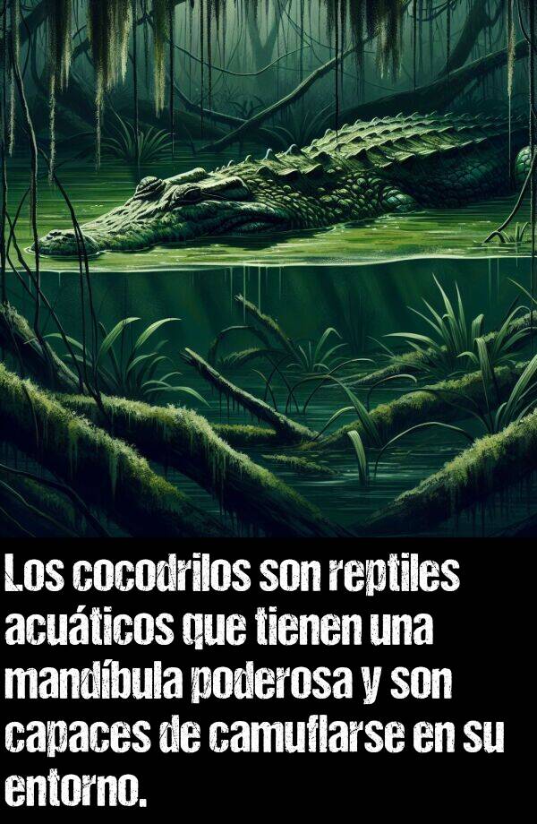 camuflarse: Los cocodrilos son reptiles acuticos que tienen una mandbula poderosa y son capaces de camuflarse en su entorno.