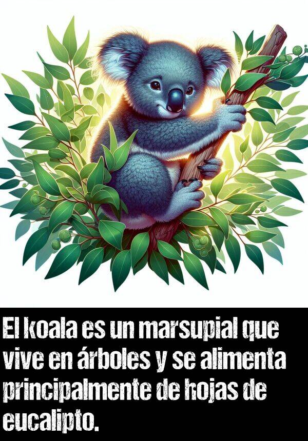 koala: El koala es un marsupial que vive en rboles y se alimenta principalmente de hojas de eucalipto.