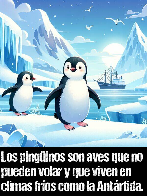 pinginos: Los pinginos son aves que no pueden volar y que viven en climas fros como la Antrtida.