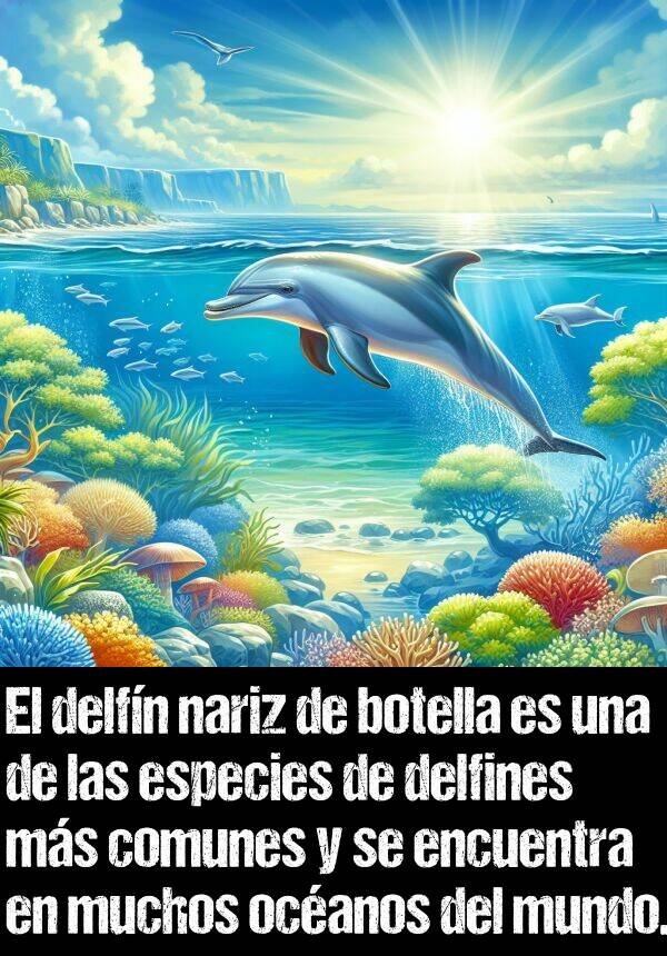 delfn: El delfn nariz de botella es una de las especies de delfines ms comunes y se encuentra en muchos ocanos del mundo.