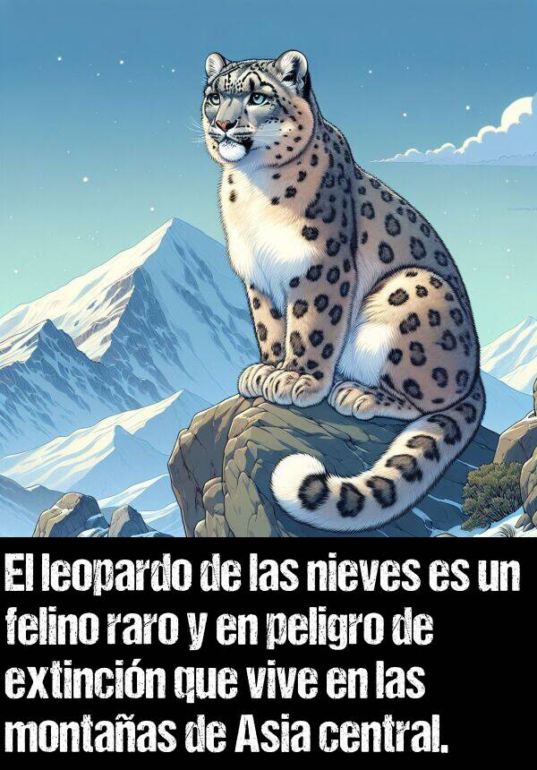 extincin: El leopardo de las nieves es un felino raro y en peligro de extincin que vive en las montaas de Asia central.