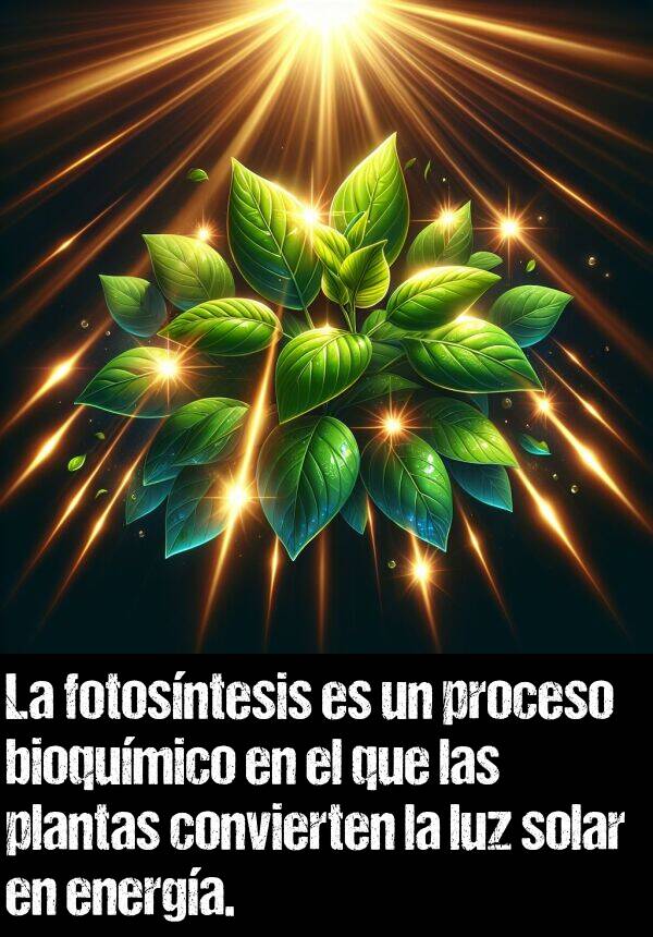 bioqumico: La fotosntesis es un proceso bioqumico en el que las plantas convierten la luz solar en energa.