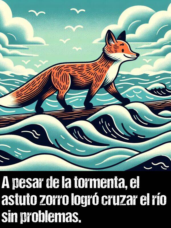 zorro: A pesar de la tormenta, el astuto zorro logr cruzar el ro sin problemas.