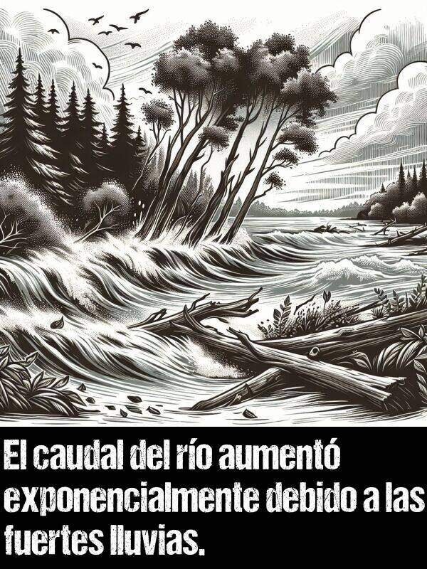 caudal: El caudal del ro aument exponencialmente debido a las fuertes lluvias.