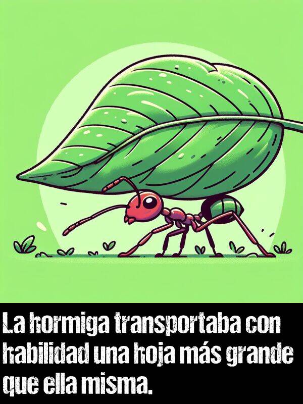 hormiga: La hormiga transportaba con habilidad una hoja ms grande que ella misma.