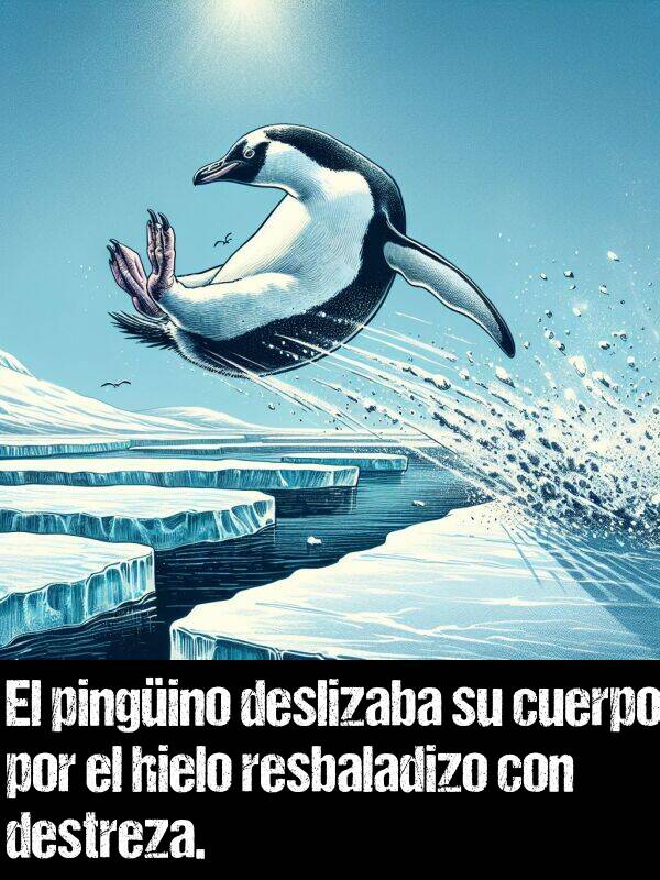 cuerpo: El pingino deslizaba su cuerpo por el hielo resbaladizo con destreza.