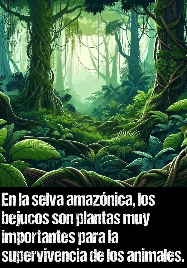 bejucos: En la selva amaznica, los bejucos son plantas muy importantes para la supervivencia de los animales.