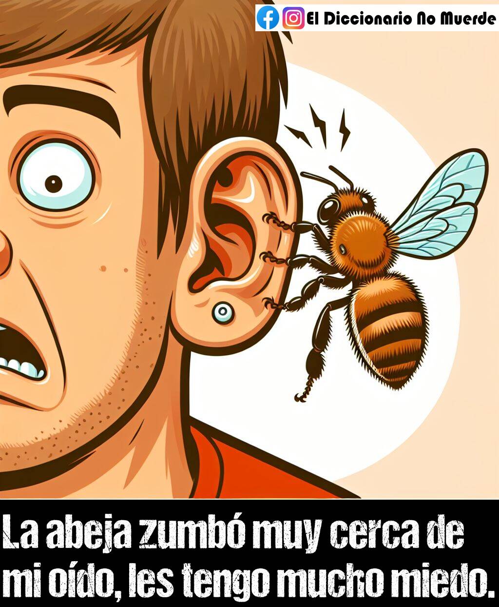 69 oraciones con «zumbar»