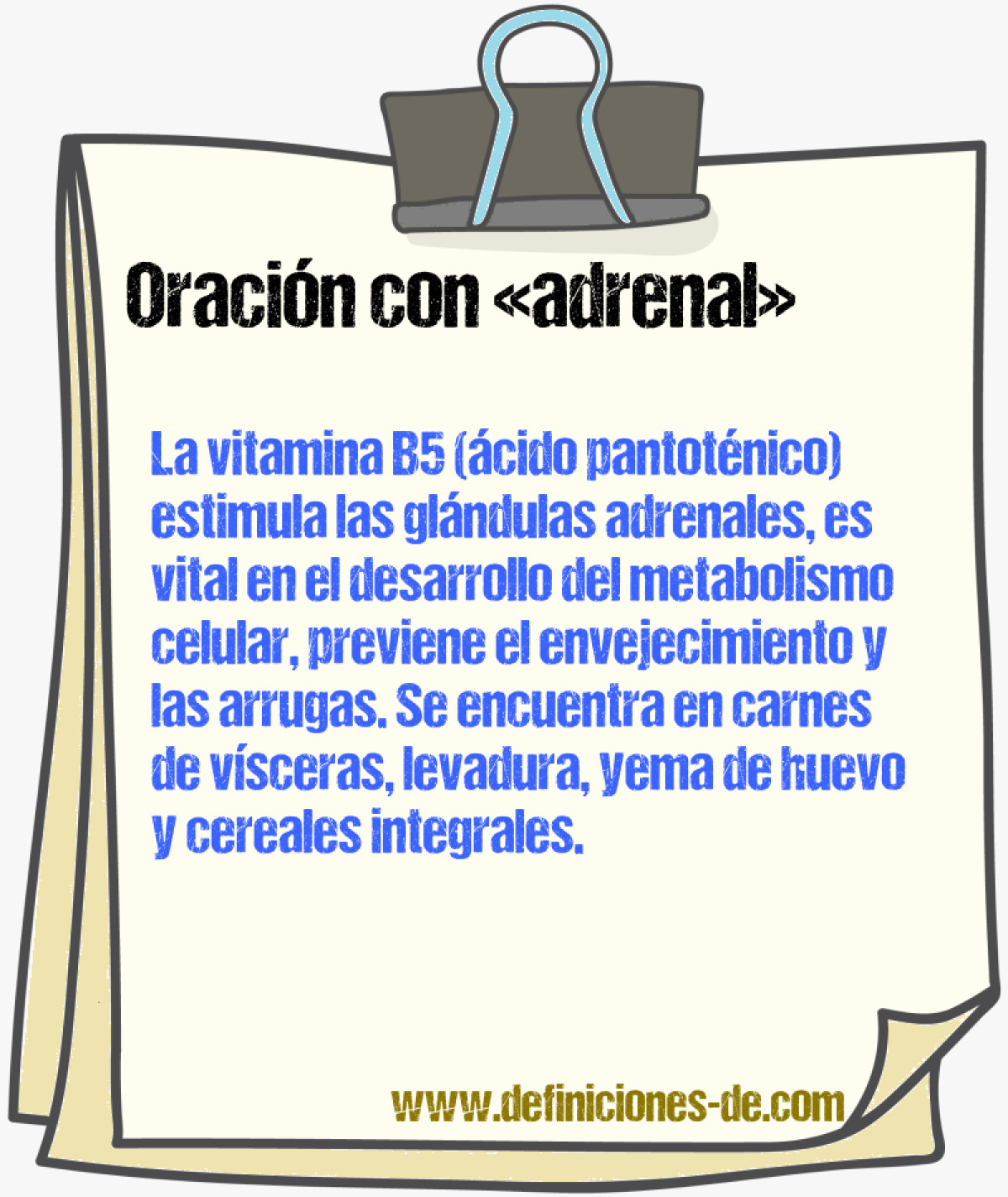 Ejemplos de oraciones con adrenal