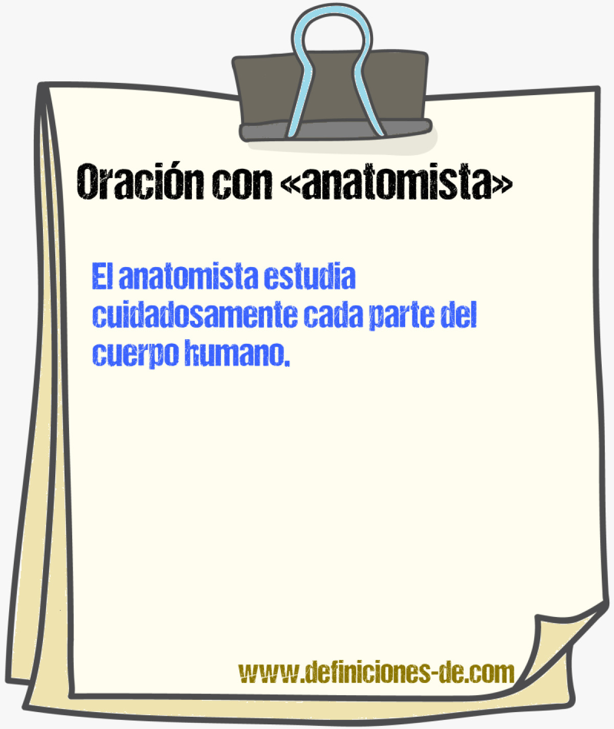 Ejemplos de oraciones con anatomista