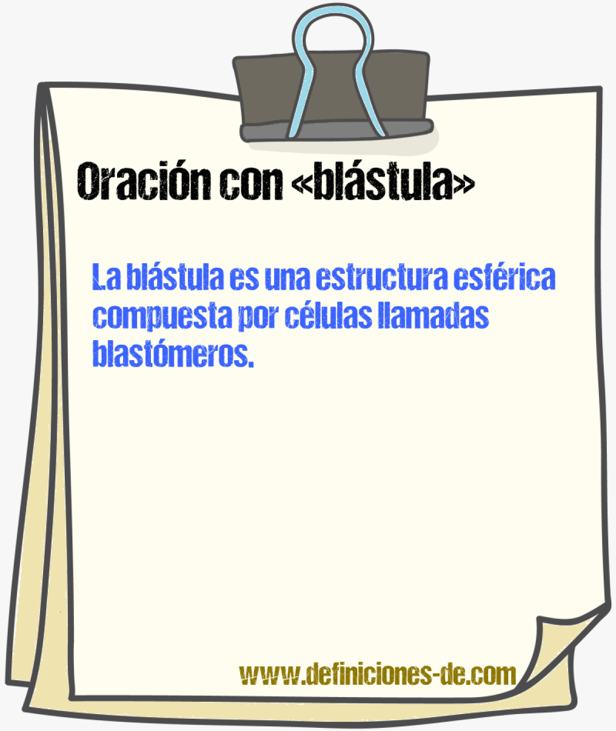 Ejemplos de oraciones con blstula