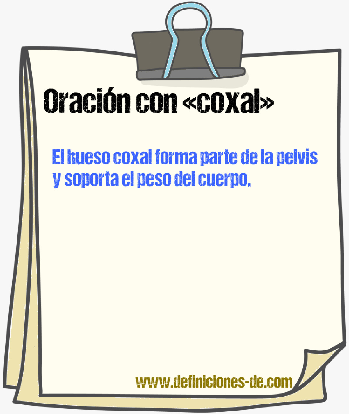 Ejemplos de oraciones con coxal